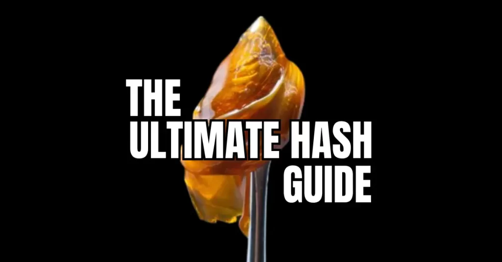 Hash Guide: Premium rosin concentrate on dab tool